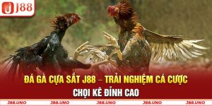 đá gà cựa sắt