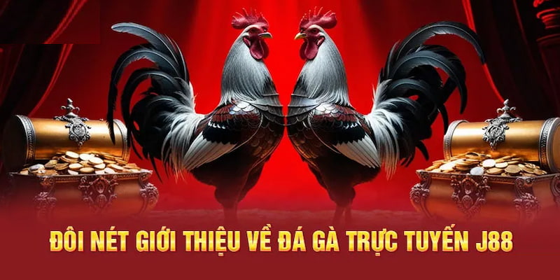 Đá gà cựa sắt là siêu phẩm ăn khách tại sân chơi nhà cái