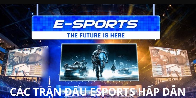 Cá cược Esports nổi bật