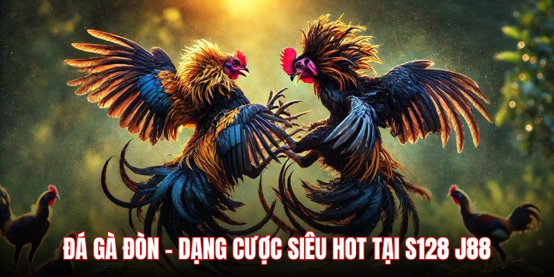 Hình thức đá gà đòn siêu cuốn hút với tính chuyên nghiệp cao