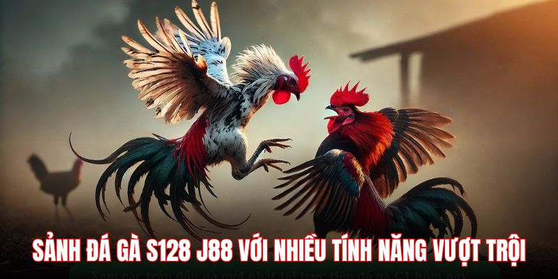 Ưu điểm độc quyền của thương hiệu chọi kê S128 tại J88